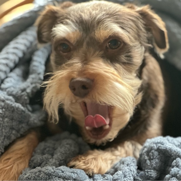 About Me Sylvia avocado2006 - Picture 9 of 11